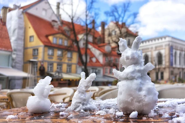 Rabbits from snow city cafe — Stock Photo, Image