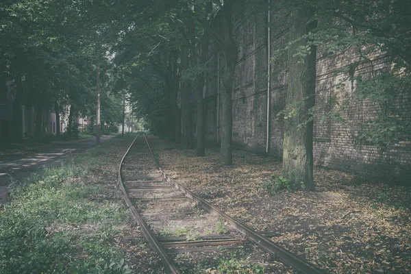 Rails tussen bomen in de stad — Stockfoto