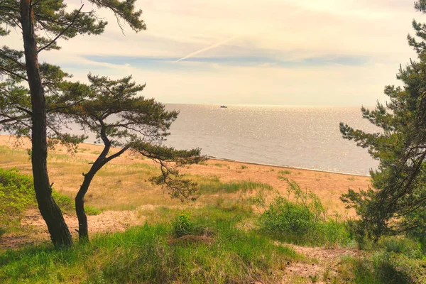 Αμμόλοφους της Βαλτικής — Φωτογραφία Αρχείου