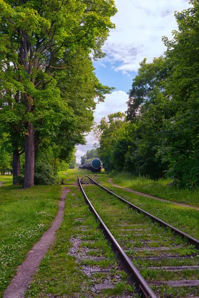 Железная дорога в лесу — стоковое фото