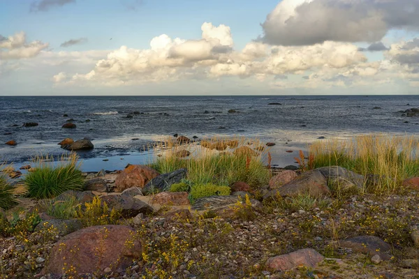 A Balti-tenger északi partja — Stock Fotó