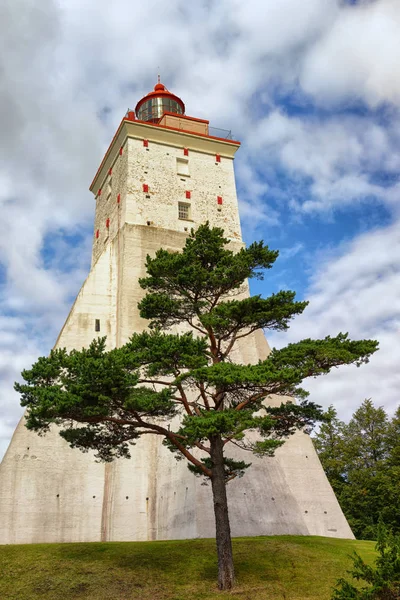 Antiguo faro y pino — Foto de Stock