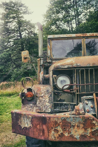 숲에서 오래 된 육군 트럭 — 스톡 사진