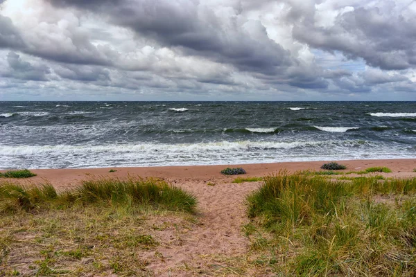 Bir fırtına Baltık kumlu plaj — Stok fotoğraf