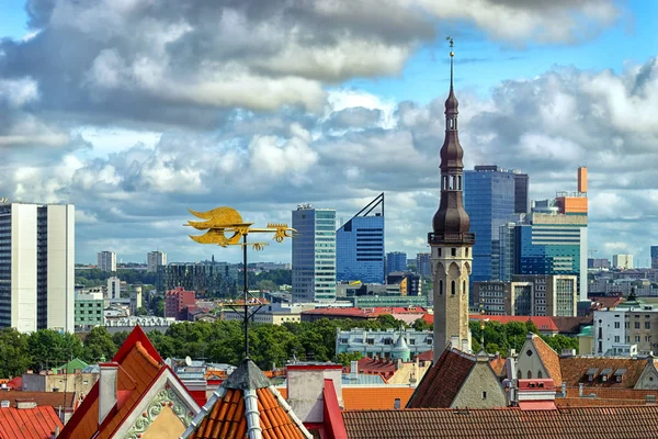 View of the Estonian capital city of Tallinn with the symbol — Stock Photo, Image