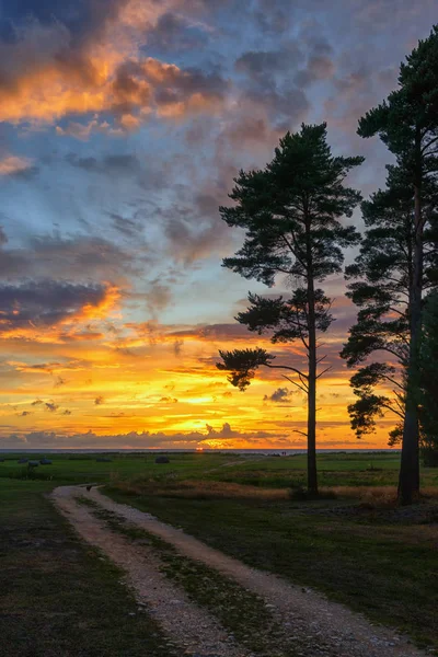 Sunset in a camping in the Baltic — Stock Photo, Image