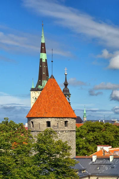 Puncak menara katedral di kota Tallinn — Stok Foto