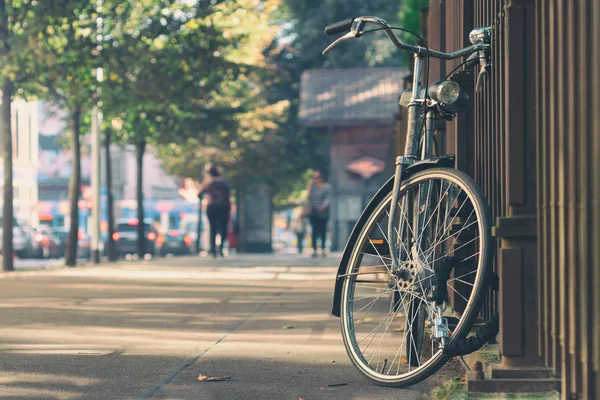 Велосипед біля паркану в парку — стокове фото