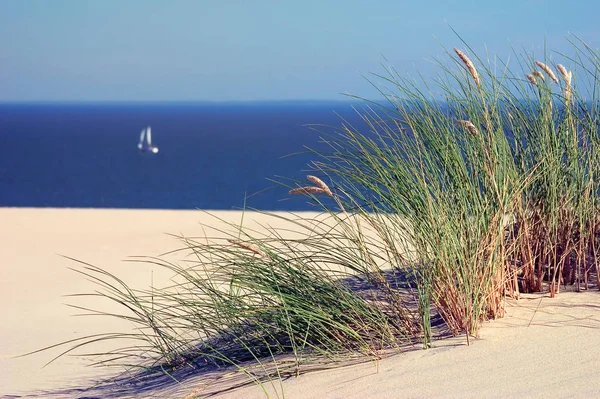 Un velero en el mar y las dunas — Foto de Stock