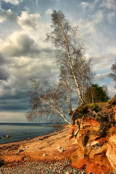 Röd sandiga kusten av Östersjön — Stockfoto
