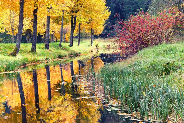 Осень в парке с прудом — стоковое фото