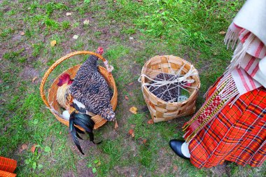 Horoz ve tavuk fuarda