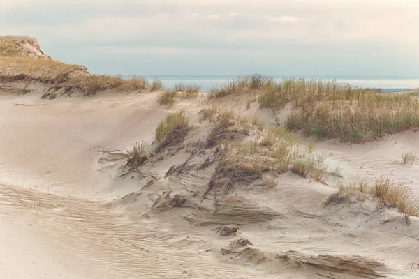 Dunes de sable de la Baltique — Photo