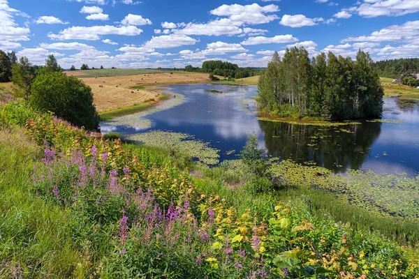 Summer Landscape in Latvia — Stock Photo, Image