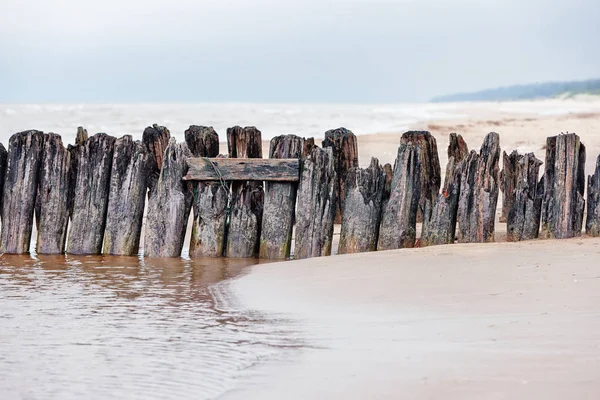 Stützen des alten Holzstegs — Stockfoto