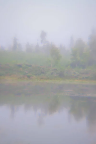 Foresta vicino al lago nella nebbia del mattino — Foto Stock