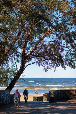 Bisikletçiler Jurmala beach üzerinde