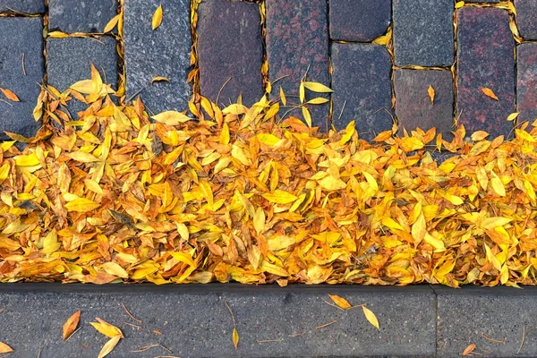 Blätter auf den Steinen der Straße — Stockfoto
