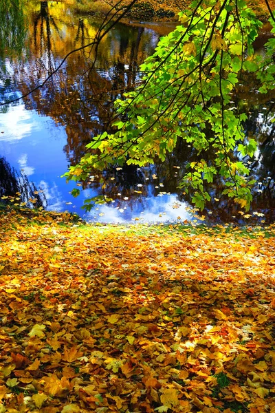 Autumn in the city park — Stock Photo, Image