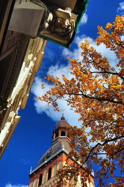 Rigas katedral i staden Riga i höst — Stockfoto