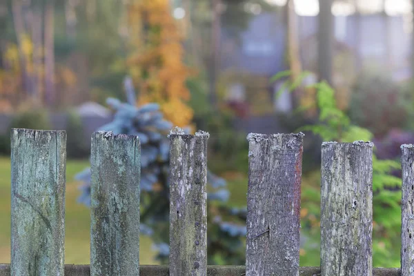 Eski sonbahar çit panoları Güz