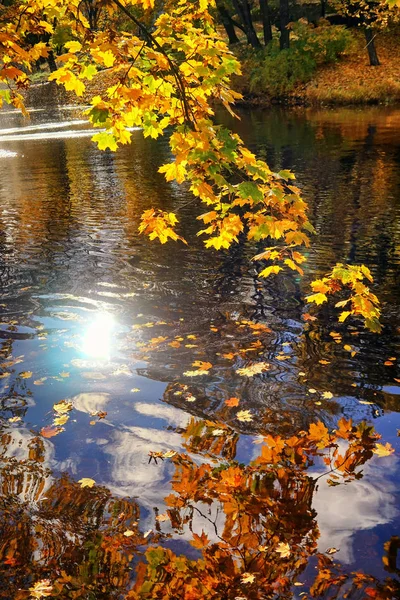 Parco a Riga in autunno con riflessione — Foto Stock