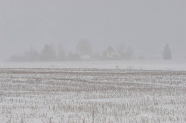 Kış alanı ile kırsal konutlarında