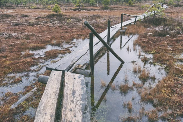 O caminho das tábuas através do pântano — Fotografia de Stock