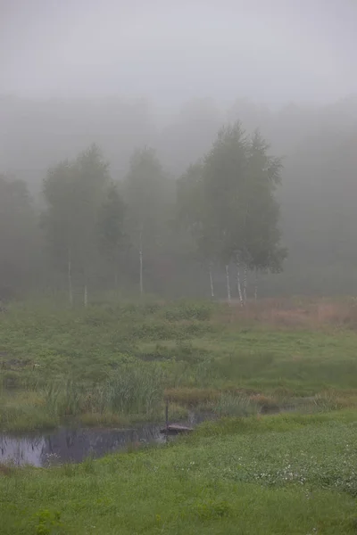 Nebbia di mattina in un prato — Foto Stock