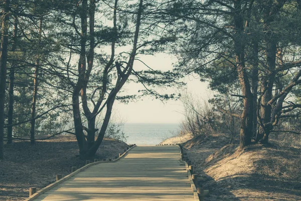 O caminho para o Mar Báltico nas dunas — Fotografia de Stock