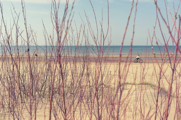 Gelber Sandstrand der Ostsee im Frühling — Stockfoto