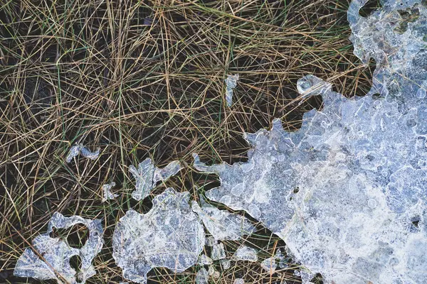 Ice is melting on the grass in the dunes — Stockfoto
