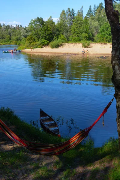 Летом компании отдыхают на реке — стоковое фото