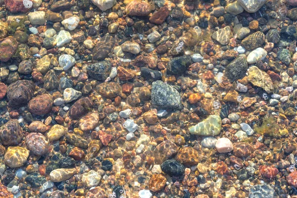 Fondo de piedras sobre un fondo marino arenoso — Foto de Stock