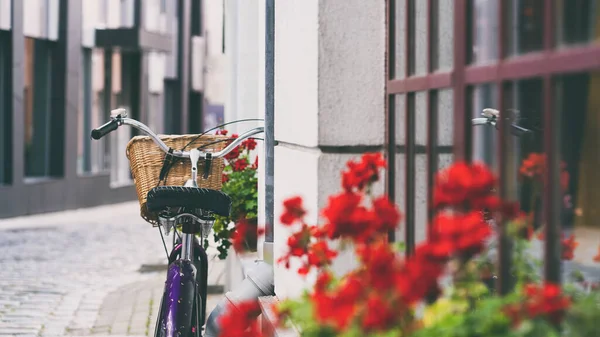 Bicicleta cerca de flores rojas en la calle — Foto de Stock