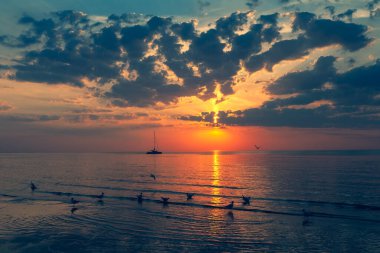 Yazın Jurmala 'da Baltık Denizi' nde gün batımı