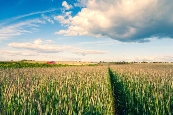 Röd Bil Rider Väg Längs Grön Flingfält Solig Sommardag Molnen — Stockfoto