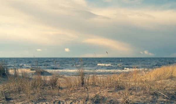 Піщані дюни Балтійського моря в сонячний день. — стокове фото