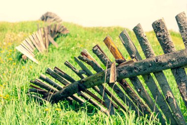 Yazın bir tarlada, çitlerin üzerinde çiçekler ve yeşil çimenler olan eski ahşap bir çit. Letonya