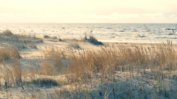 Dunes de sable un jour du printemps — Photo