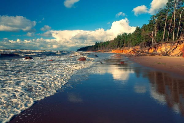 Burza Piaszczystej Plaży Morza Bałtyckiego Słoneczny Dzień Chmurami Błękitnym Niebie — Zdjęcie stockowe