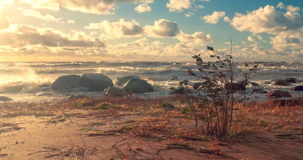 Storm Sandy Beach Baltic Sea Sunny Day Clouds Blue Sky — Stock Photo, Image