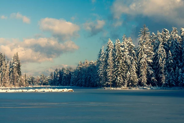 Bosque Coníferas Encuentra Orilla Lago Congelado Hielo Contra Cielo Azul —  Fotos de Stock