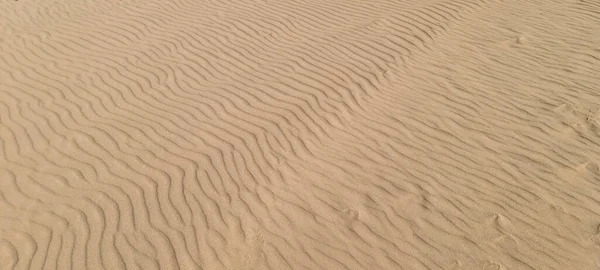 Saf Deniz Sarı Kumu Baltık Ilkbaharda Dalgaların Verdiği Rahatlıkla — Stok fotoğraf