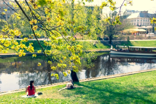 Folk Kopplar Våren Grön Gräsmatta Ett Blommande Träd Vid Stadskanalen — Stockfoto