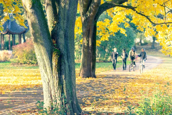 Mensen Lopen Door Het Steegje Het Herfst Stadspark Riga Letland — Stockfoto