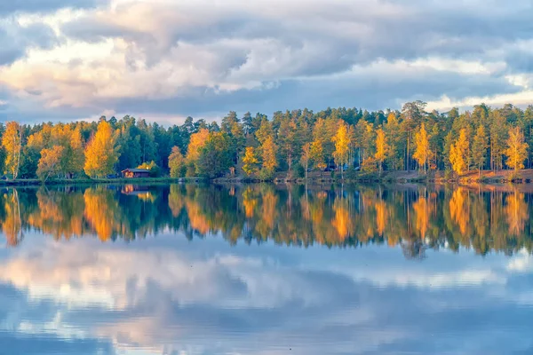 Autumn forest with colored leaves by the lake — Stock Photo, Image