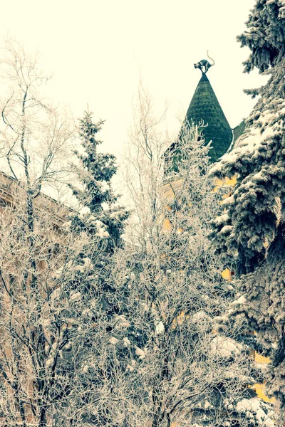 Figurine de chat sur la flèche d'une maison en hiver — Photo