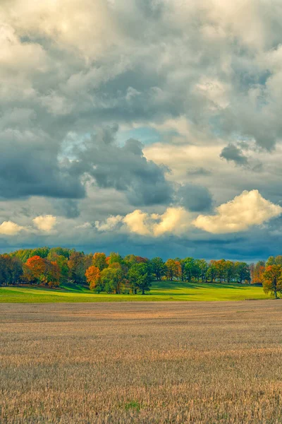 Gemaaid Veld Tegen Achtergrond Van Herfstbos Landelijk Huis Bij Bewolkt — Stockfoto