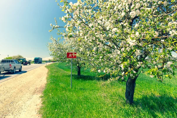 Jabłoń Kwiatach Stronie Autostrady Pomiędzy Drzewami Znak Numer Drogi Początek — Zdjęcie stockowe